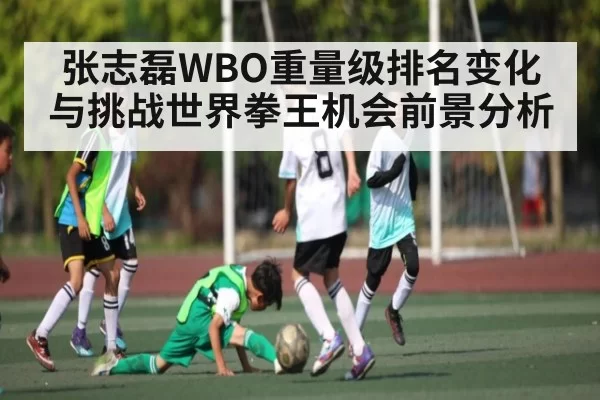 张志磊WBO重量级排名变化与挑战世界拳王机会前景分析